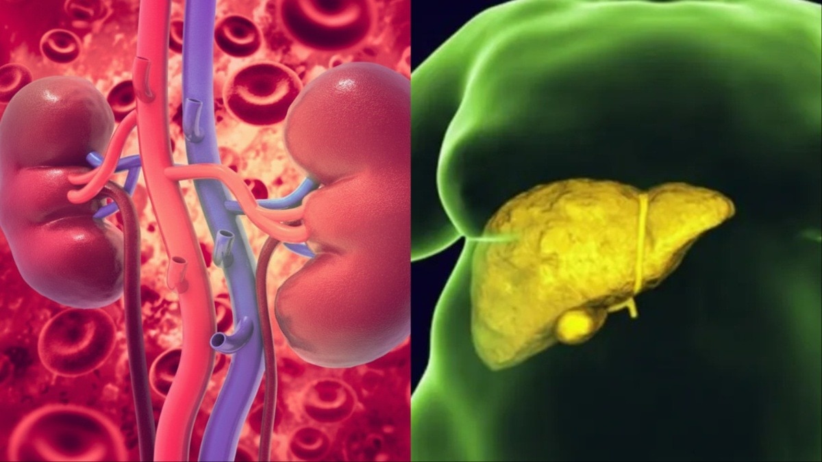 Kidney and Liver Health