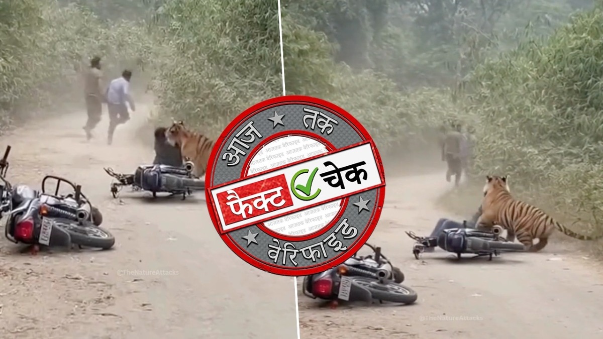 राजस्थान में जानलेवा टाइगर अटैक? नहीं, ये वीडियो AI से बनाया गया है (Photo: ITG)