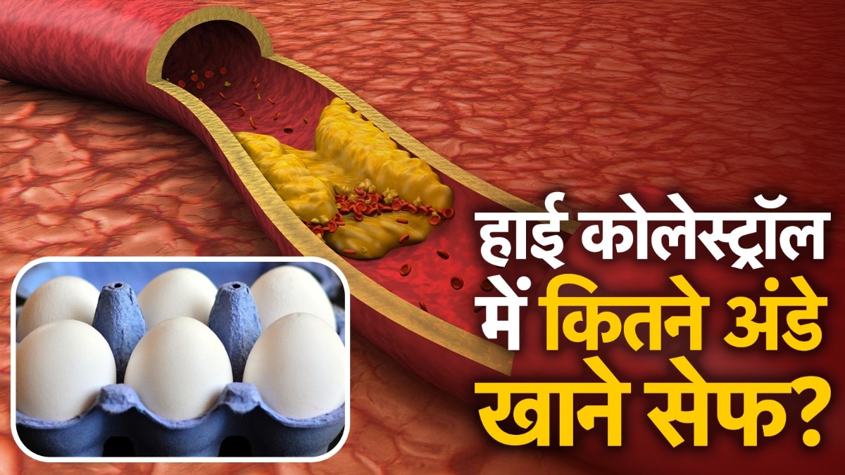 Egg Diet for High Cholesterol