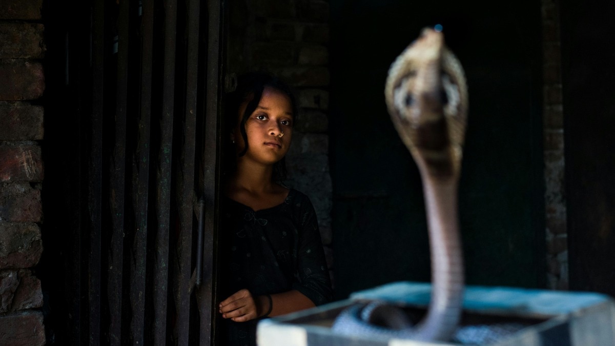 सांपों का गांव (Photo: Pexels)