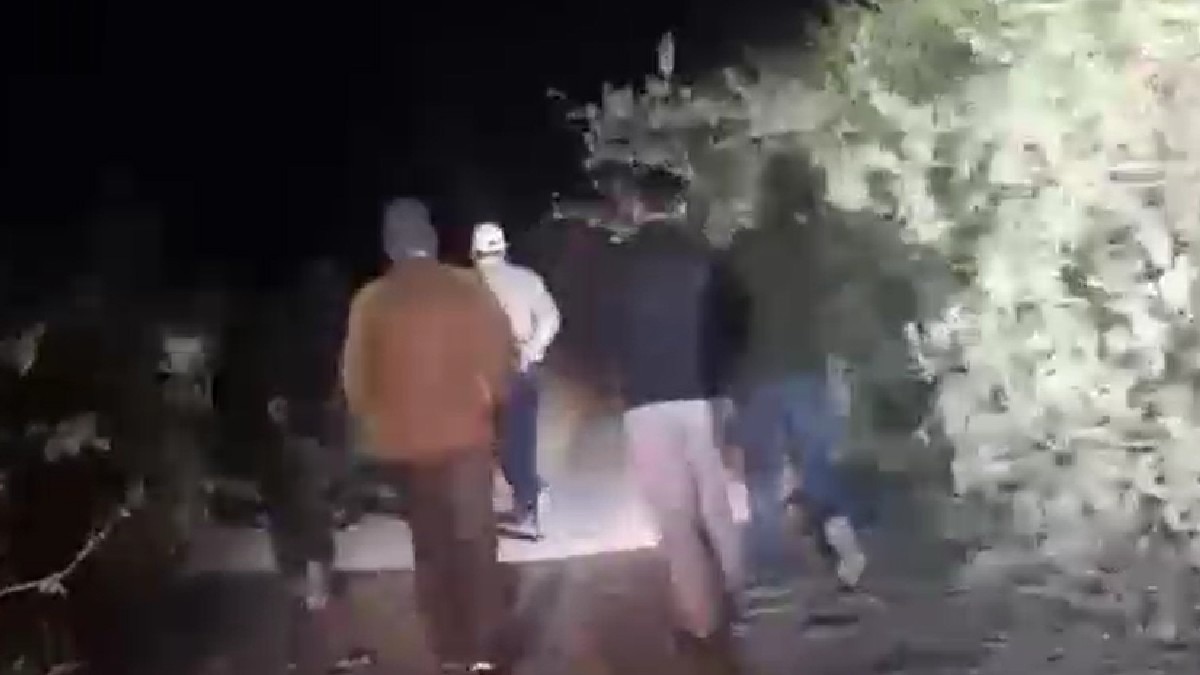 हमले के बाद जंगल में उतरे वन विभाग के कर्मचारी.(Photo:Screengrab)