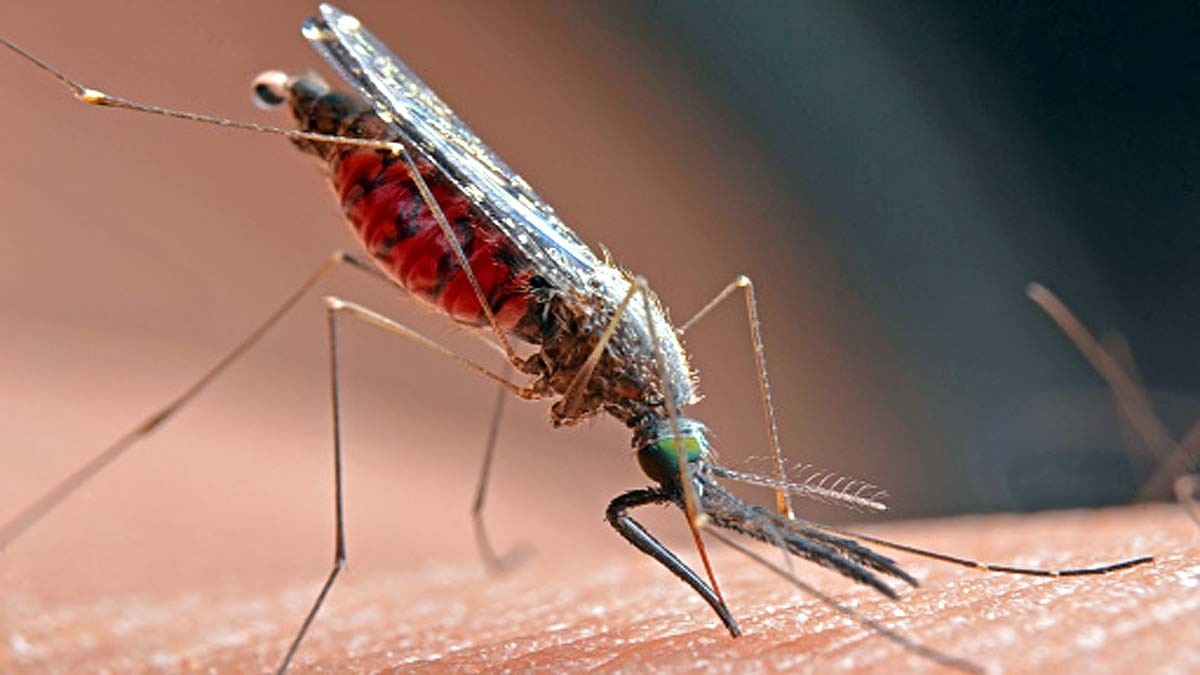 Mosquito repellent detergent