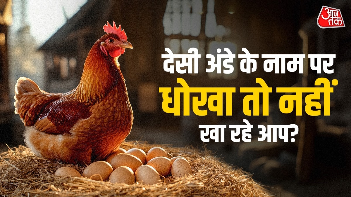 अंडे की खपत सर्दियों में बढ़ जाती है. (Photo: ITG)