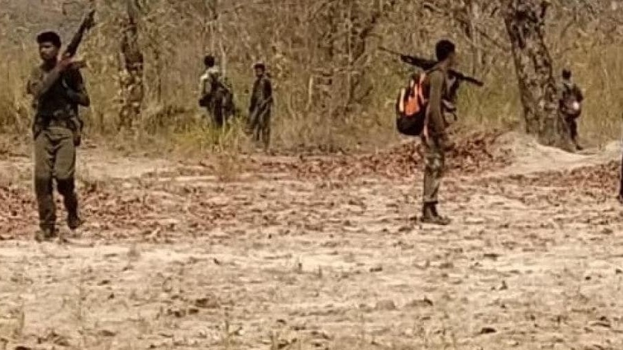 IED blast in Saranda forest