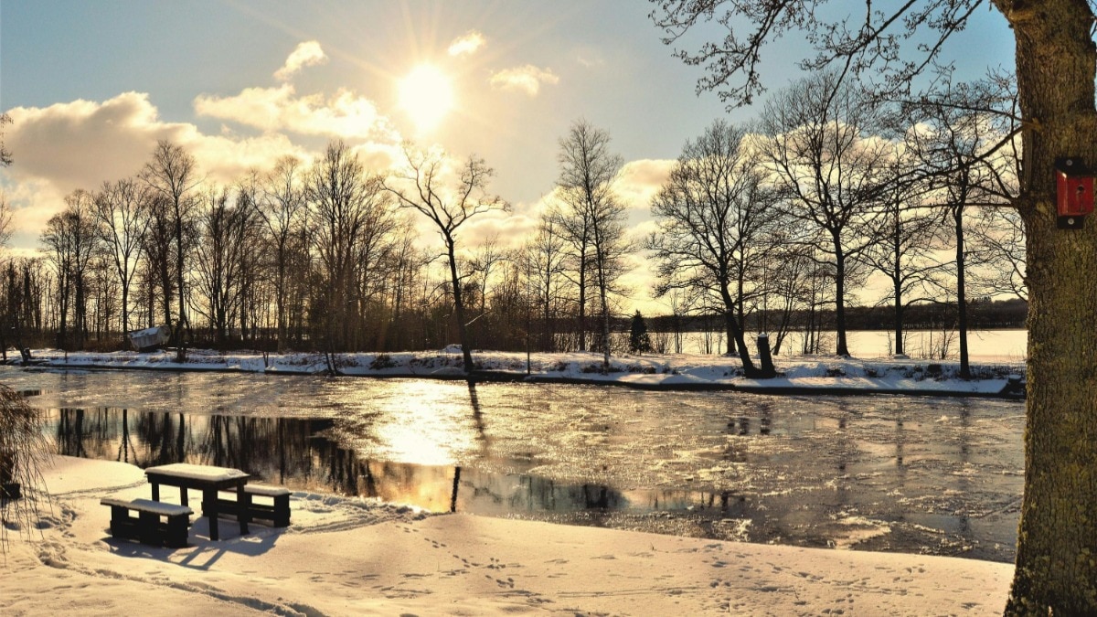 स्वीडन में 10 AQI होने के बावजूद दिल्ली लौट रहे युवक की पोस्ट वायरल, बताई ये वजह
