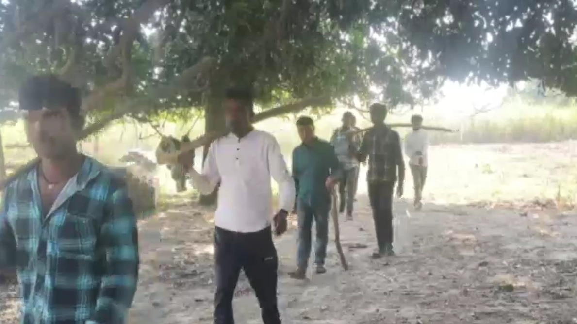 मां के पास सो रही बच्ची को आधा खा गया भेड़िया. (Photo: Screengrab)