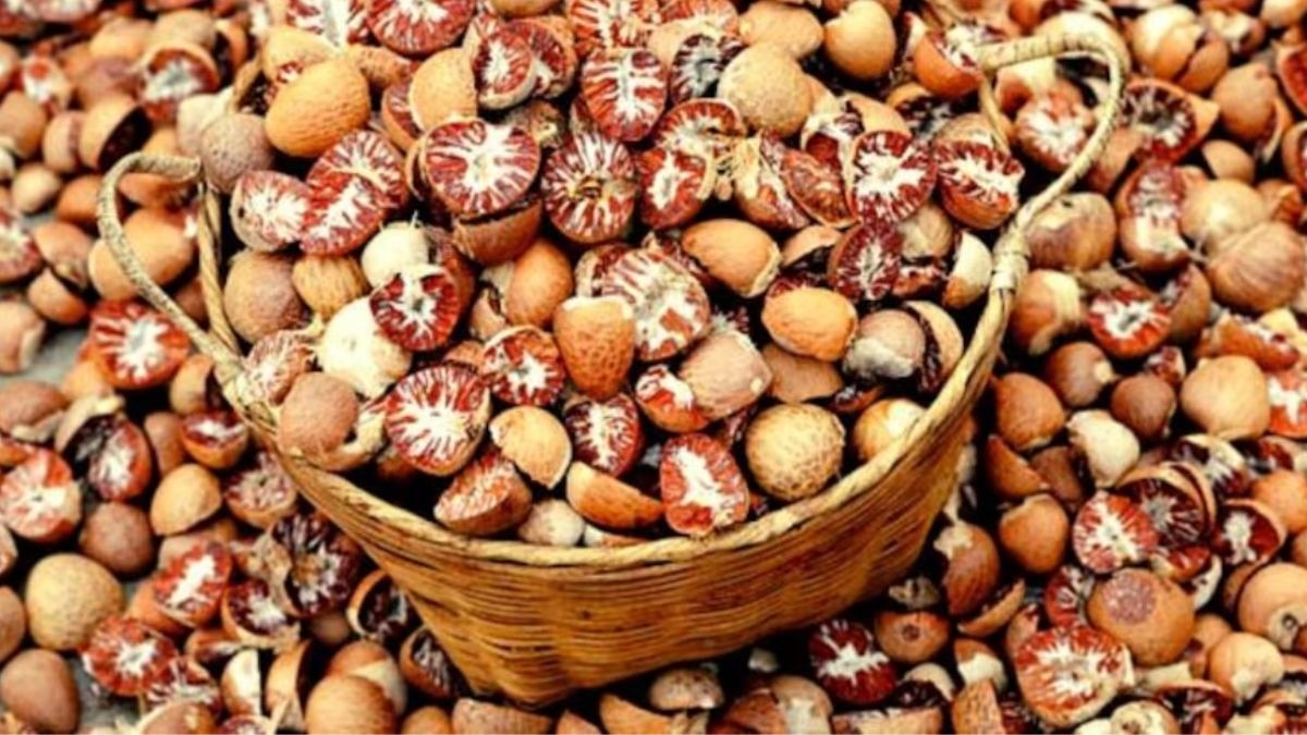 यह खेप नागपुर भेजी जानी थी और वहां से गुटखा और पान मसाला बनाने वाले नेटवर्क में सप्लाई होनी थी.