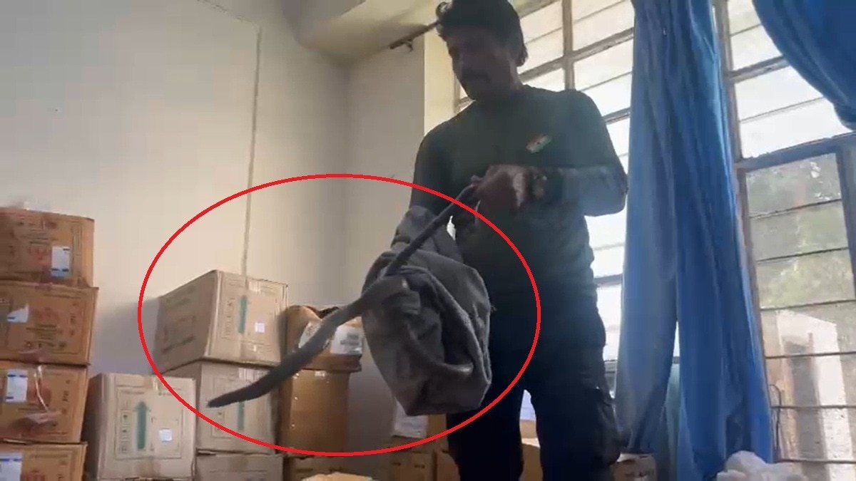 ICU में सांप घुसने से दहशत में लोग. (Photo: Screengrab)