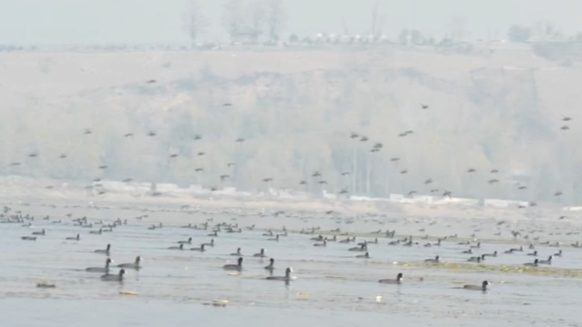 Kashmir’s Wular Lake