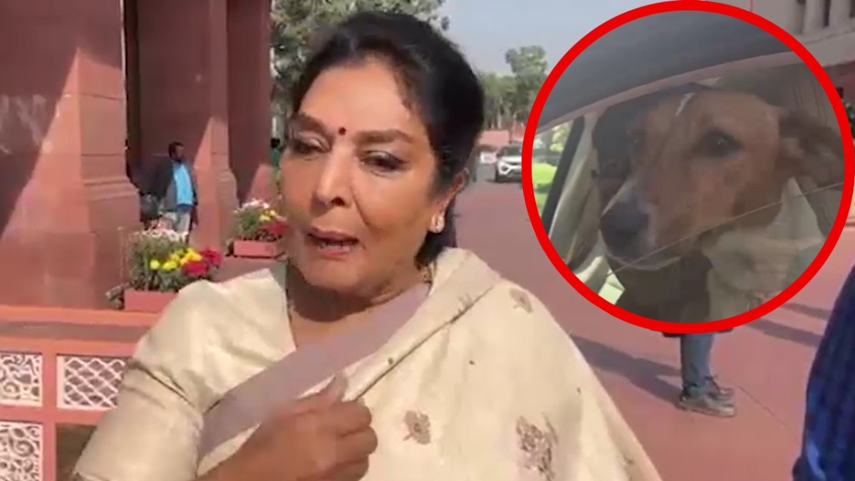 Renuka Chaudhary on parliament