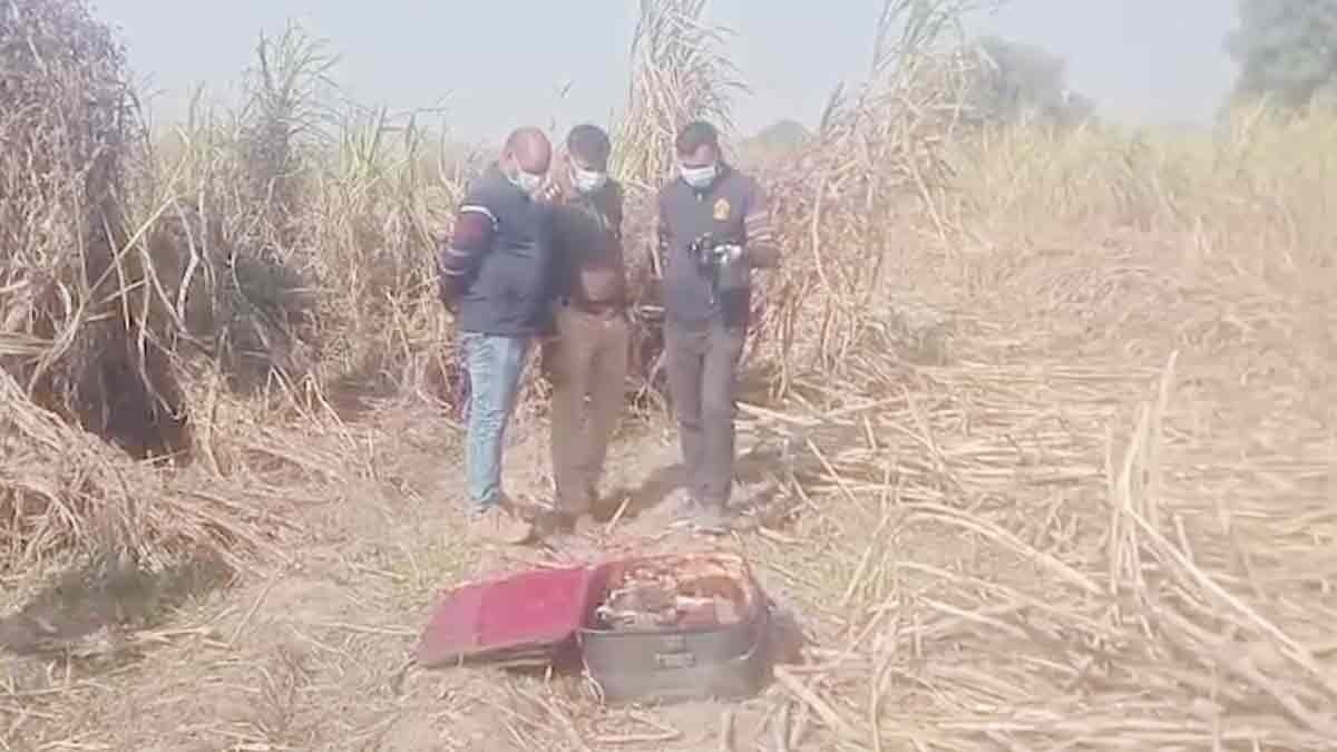  गन्ने के खेत में कटाई करते वक्त मजदूर को मिला पुराना सूटकेस, खोलते ही खौफ में आ गए लोग 