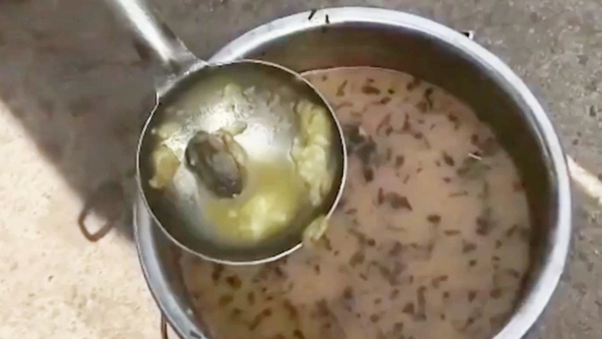 frog found in school mid-day meal