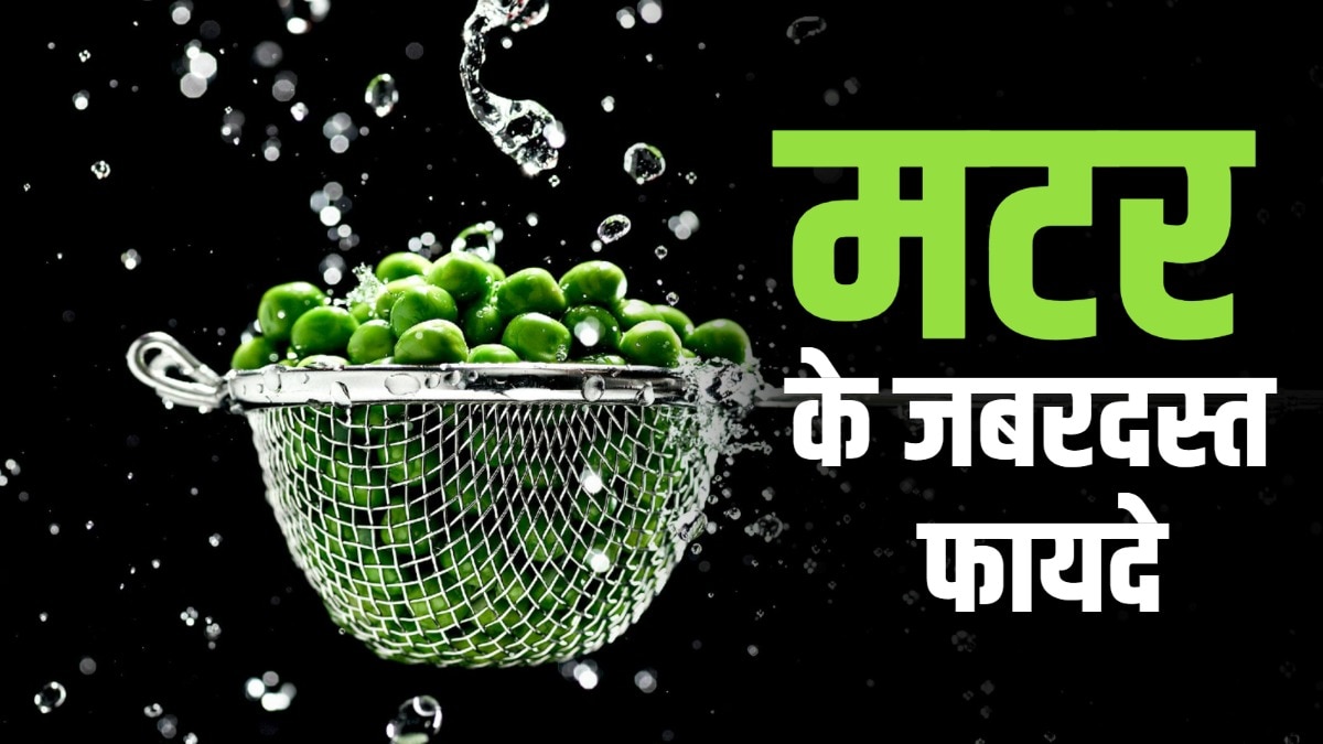 सर्दियों में मटर की पैदावार अधिक होती है. (Photo: PEXELS)