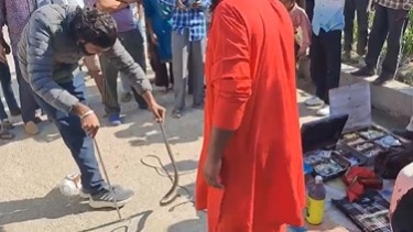 वीडियो वायरल.(Photo: Screengrab)