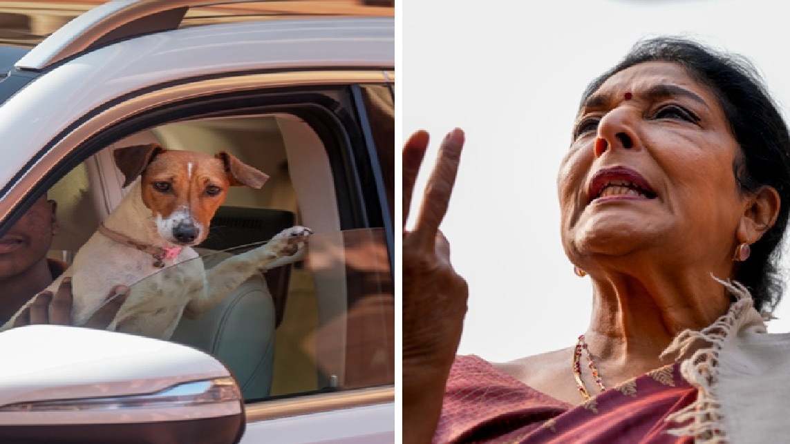 कांग्रेस सांसद रेणुका चौधरी संसद में कुत्ता लेकर आने के विवाद में घिर गई हैं. (photo: PTI)