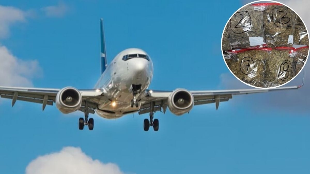 फ्लाइट लैंड होते ही महिला पुरुष पर एक्शन. (Photo: Representational)