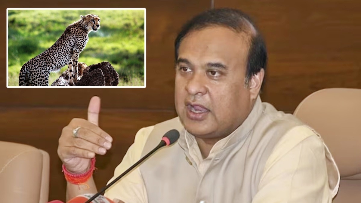 प्रोजेक्ट चीता की सफलता पर बोले CM हिमंत बिस्वा सरमा.(Photo:ITG)