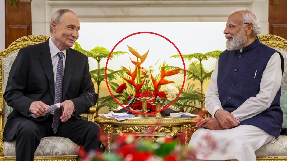 हेलिकोनिया के पौधे को फेंगशुई में ऊर्जा का प्रतीक माना जाता है