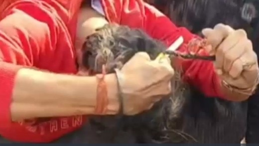 सरकार पर नाराजगी जाहिर की.(Photo: Screengrab)