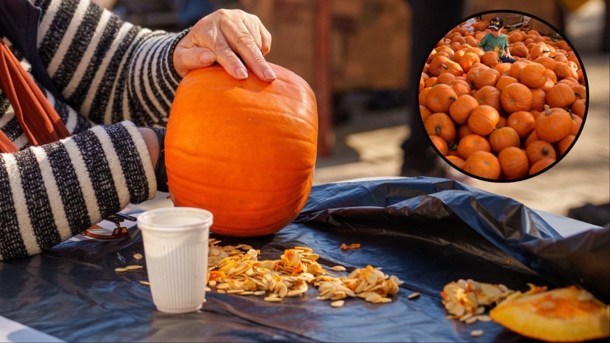 Pumpkin health benefits