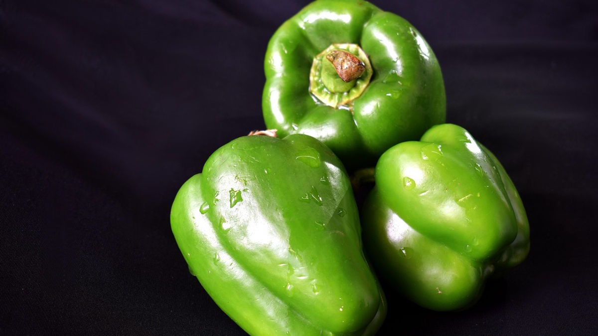 Grow Capsicum in Pots