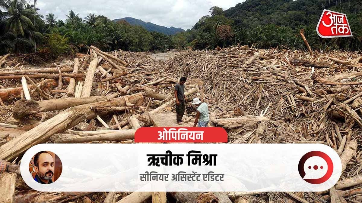 deforestation brings devastation