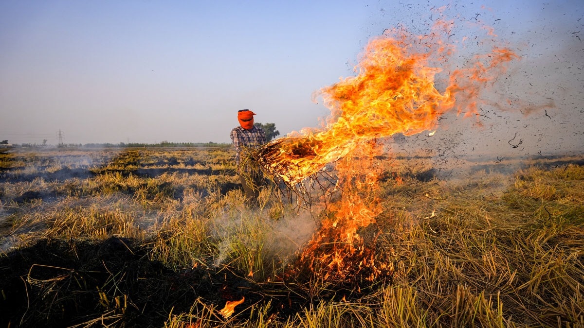 Stubble burning