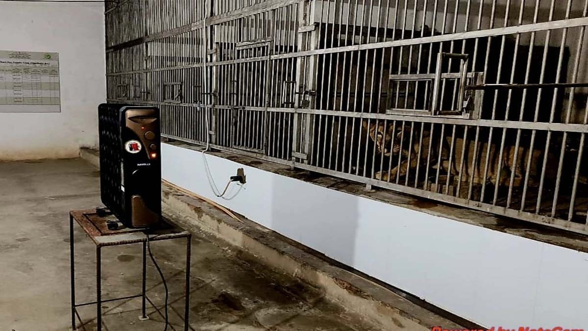  पटना जू में वन्यजीवों की विंटर केयर शुरू, लगाए गए हीटर 