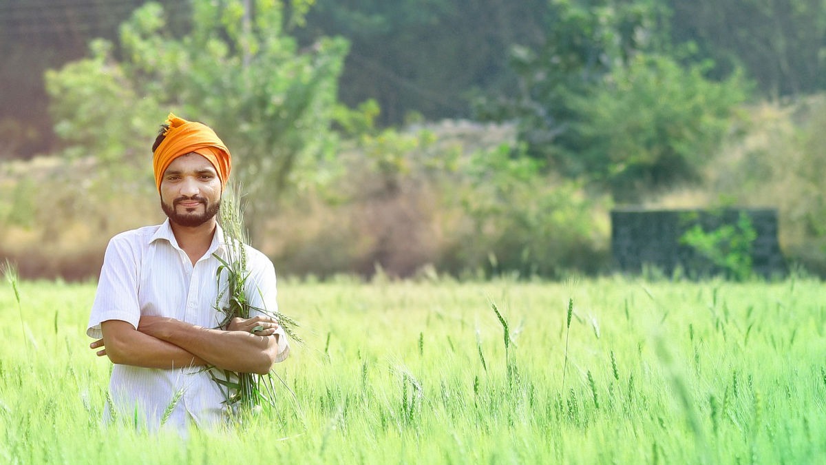 किसान 3 पेड़ लगाकर फसलों की सुरक्षा बढ़ा सकते हैं (Photo: Pixabay)