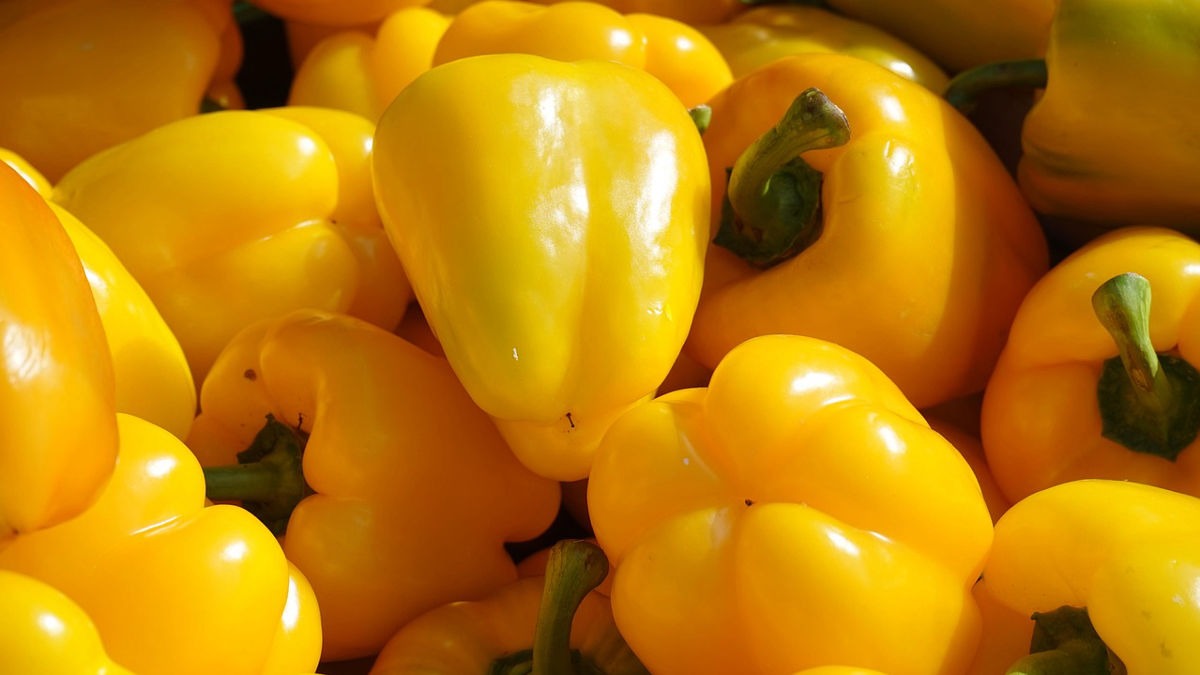 घर पर पीली शिमला मिर्च उगाना फायदा पहुंचा सकता है (Photo: Pixabay)