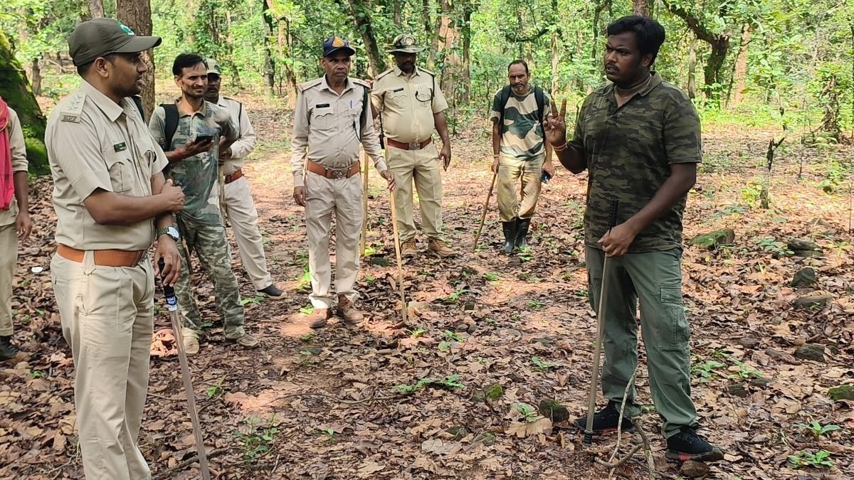 डुबुरी रेंज में मिले शावकों के शव. (File Photo:x/@Sanjay_TigerR)