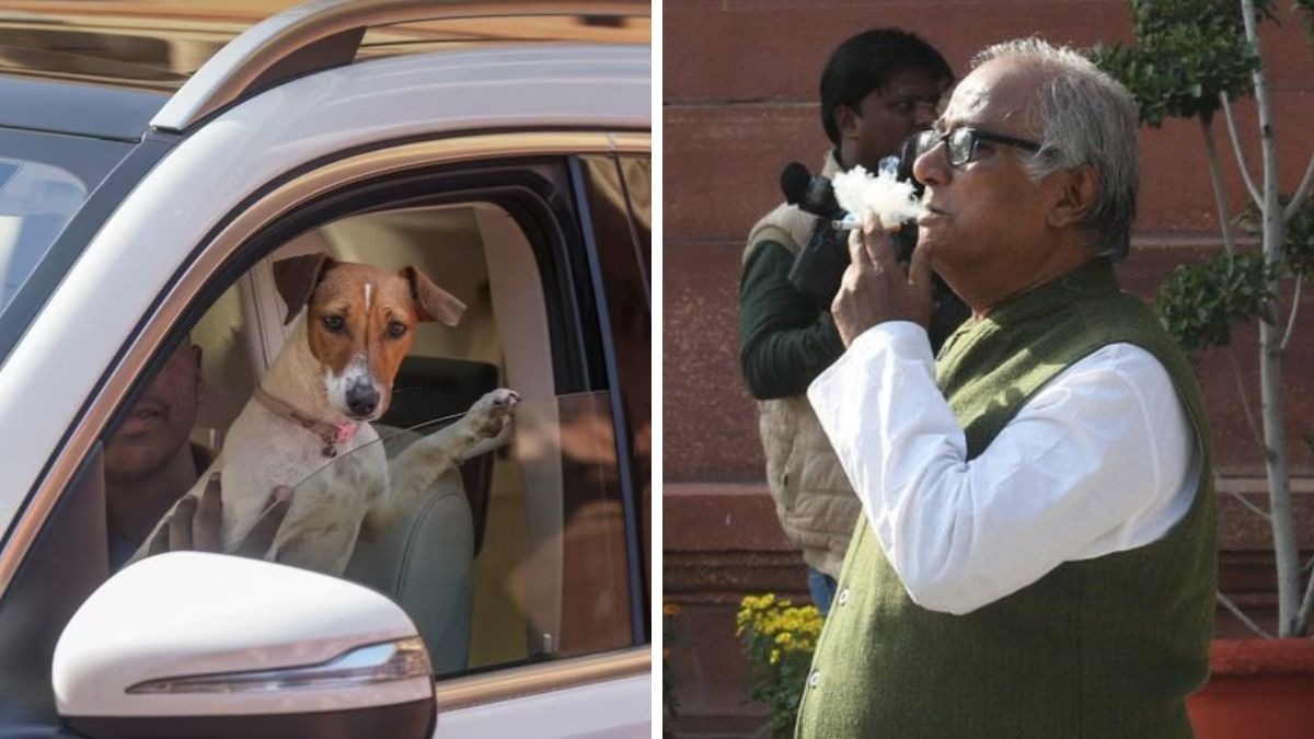 Dog and e-cigarette controversy