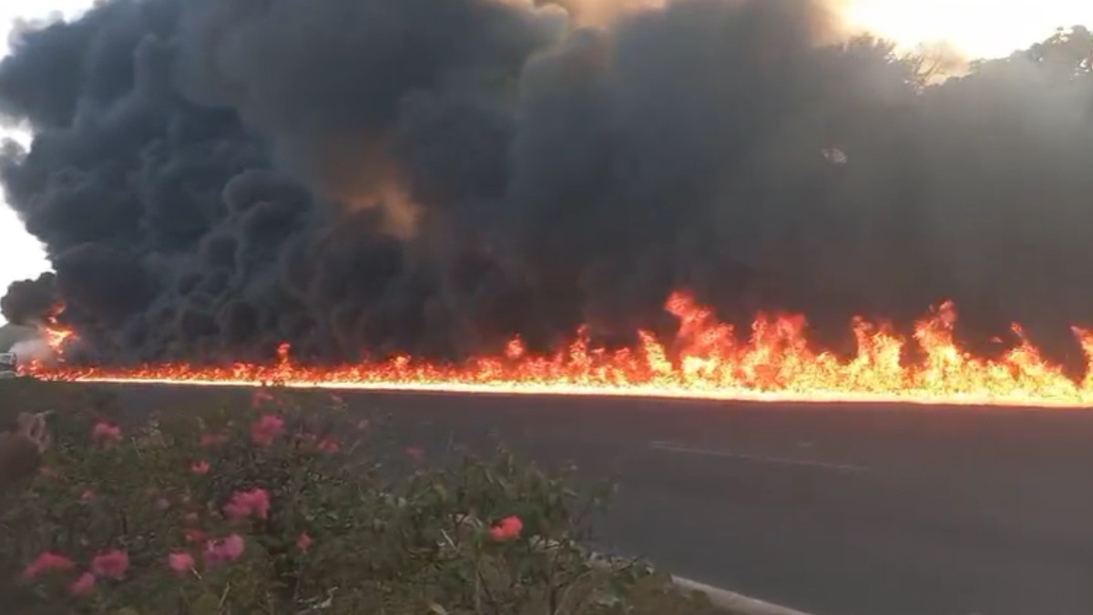 घटना के बाद धुले-सोलापुर हाईवे पर अफरा-तफरी मच गई और लोगों में दहशत फैल गई. (Photo- ITG)
