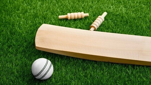 cricket set: bat ball stumps and bails