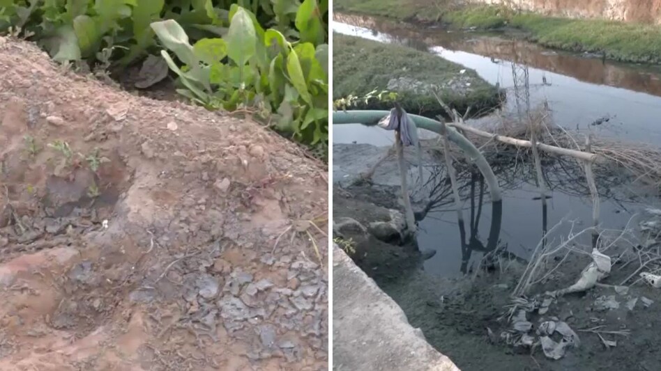 जयपुर के सांगानेर इलाके में फैक्ट्रियों से निकलने वाले केमिकल और ब्लीच से दूषित पानी से खेती प्रभावित हो रही है. (Photo: ITG) जयपुर के सांगानेर इलाके में फैक्ट्रियों से निकलने वाले केमिकल और ब्लीच से दूषित पानी से खेती प्रभावित हो रही है. (Photo: ITG)