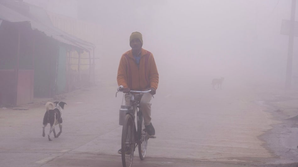 IMD ने इन राज्यों के लिए जारी किया Cold Wave अलर्ट, देखें IMD ने इन राज्यों के लिए जारी किया Cold Wave अलर्ट, देखें