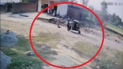 युवक ने कुत्ते को रिक्शे में बांधकर घसीटा.(Photo: Screengrab)