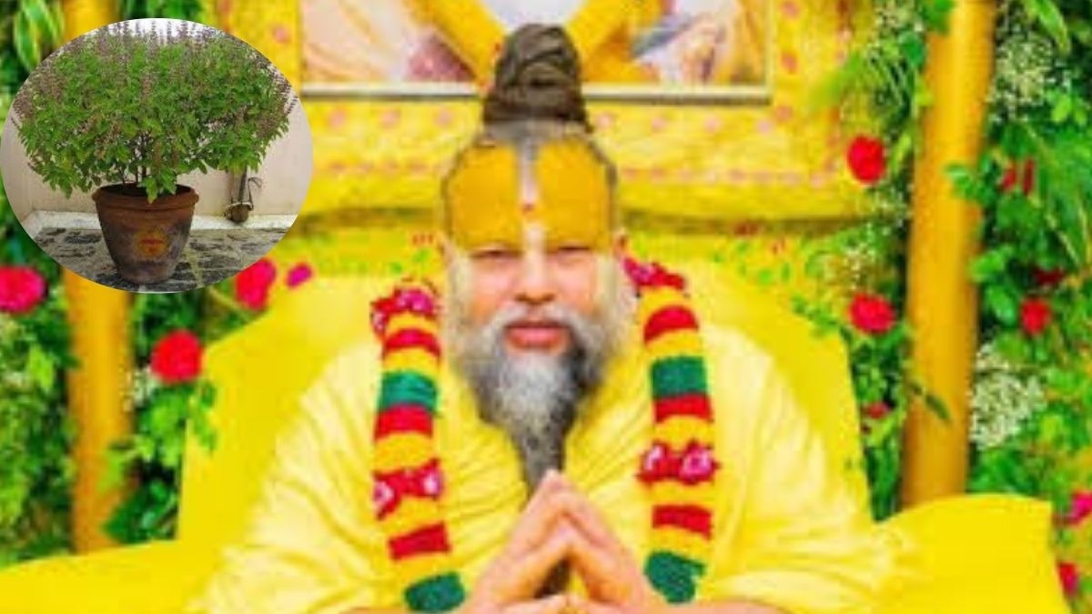 Premanand Maharaj On Tulsi Puja: एकादशी पर तुलसी तोड़ना शुभ या अशुभ? प्रेमानंद महाराज ने दूर किया संदेह
