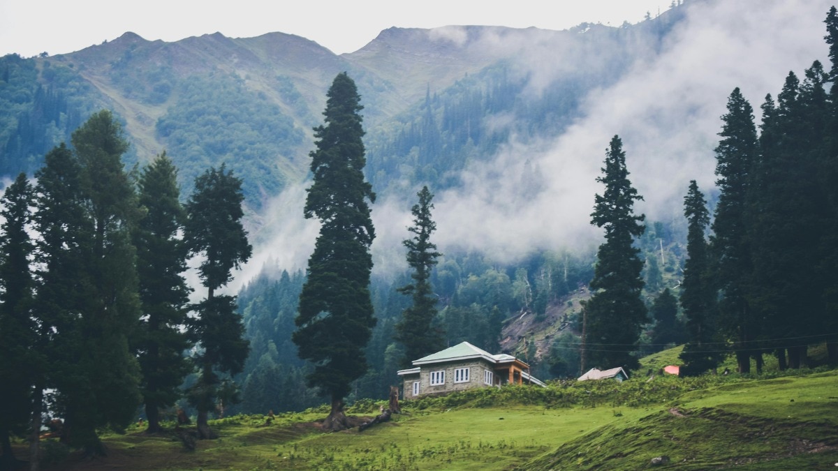 बर्फ से ढकी वादियां (Photo: Pexels)