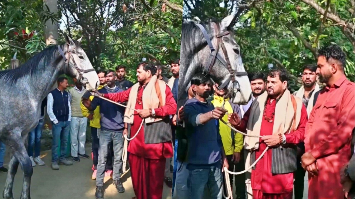बृजभूषण सिंह को महंगा घोड़ा गिफ्ट में मिला (Photo-Screengrab)
