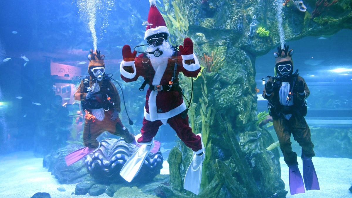 खिलौनों जैसा शहर (Photo: AFP)