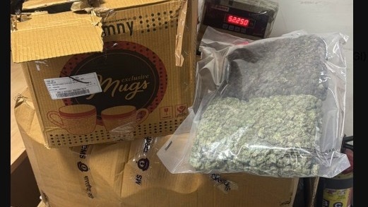 Narcotics smuggling at Delhi Airport