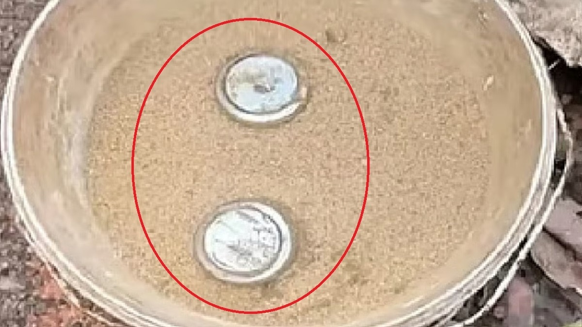 Kerala country-made bombs destroy 