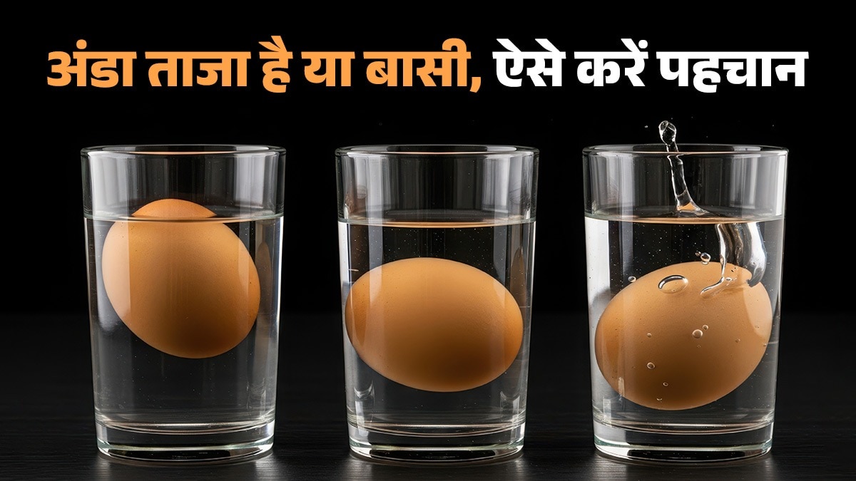 How to identify fresh and bad eggs