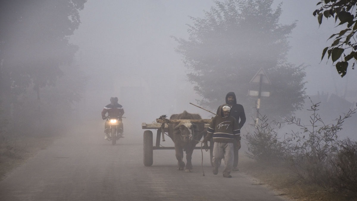 भारत के इन राज्यों में सुबह घना कोहरा छाया रहेगा. (Photo: PTI)