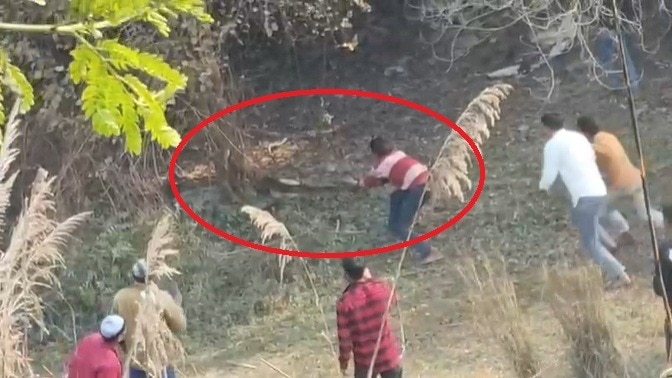 वीडियो वायरल. (Photo: Screengrab)