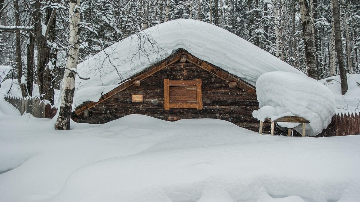 साबेरिया में है दुनिया का सबसे ठंडा शहर (Photo - Pexels)