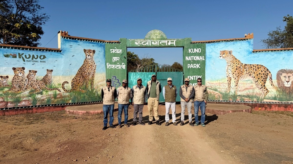 बोत्सवाना के दल ने कूनो पार्क में तैयारियों का लिया जायजा.(Photo:ITG)