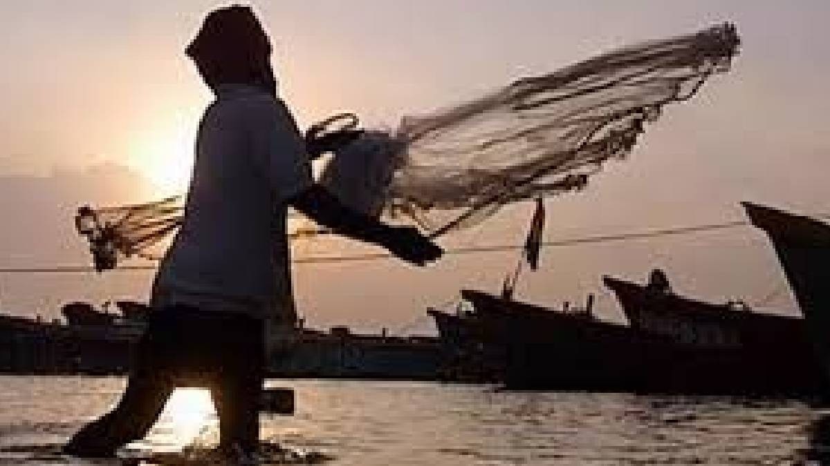 fishing, fish breeding, fishes