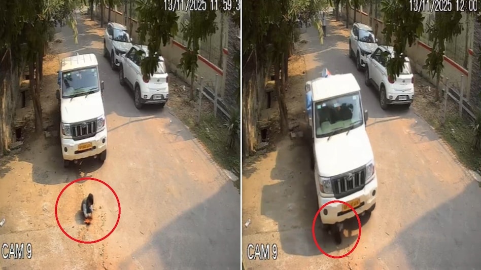 फोन पर बात करते ड्राइवर ने पिकअप से मासूम को कुचला, वीडियो वायरल फोन पर बात करते ड्राइवर ने पिकअप से मासूम को कुचला, वीडियो वायरल